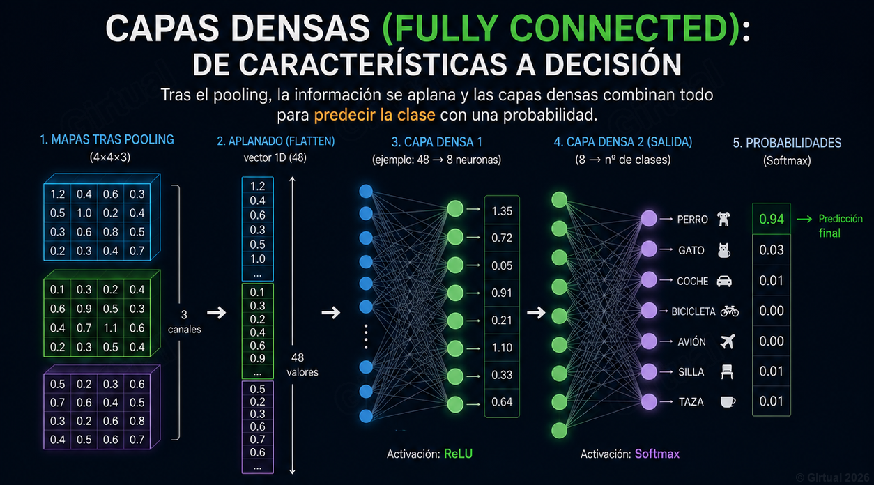 Visualización del vector de embedding pasando de convoluciones a capas densas